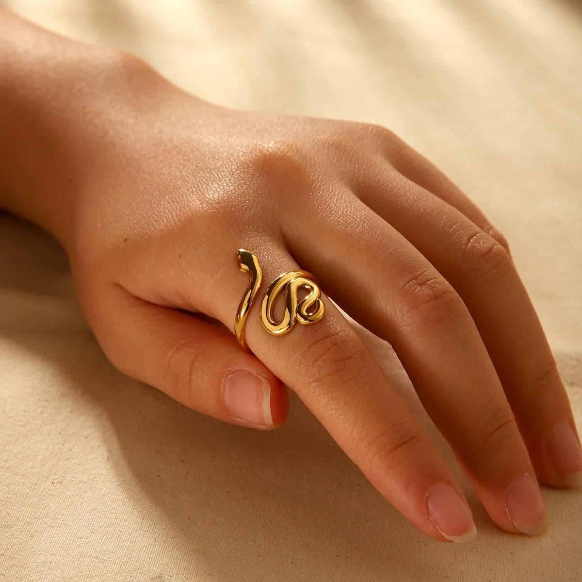 Anillo Snake