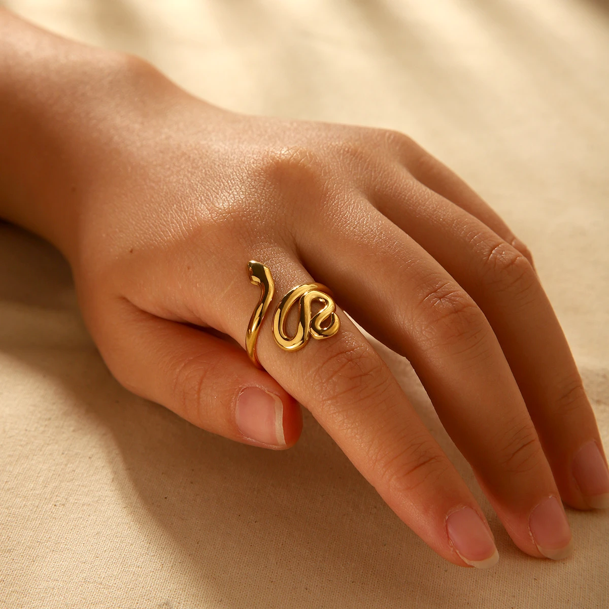 Anillo Snake